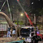 รถเฮี๊ยบรับจ้าง ยกของหนัก เครื่องจักรหนัก ขอนแก่น